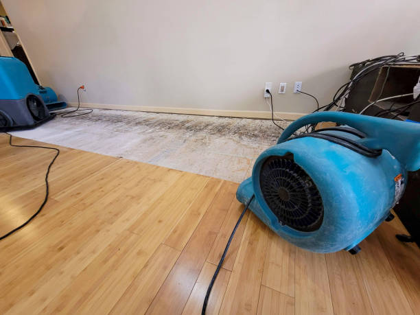 Professional Structural Drying technician working in Holmes, PA